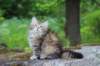 ursulina10weeks176202339_small.jpg