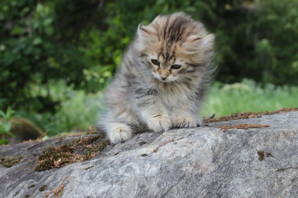 ursulina10weeks176202367.jpg