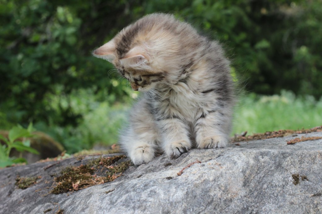 ursulina10weeks176202368.jpg