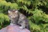 uriellegirlsibf24onemonth10_small.jpg