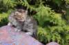 uriellegirlsibf24onemonth12_small.jpg