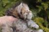 uriellegirlsibf24onemonth18_small.jpg