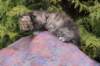 uriellegirlsibf24onemonth20_small.jpg