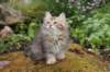 ursulina11weeks226202336_small.jpg
