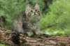 ursulina12weeks17202312_small.jpg