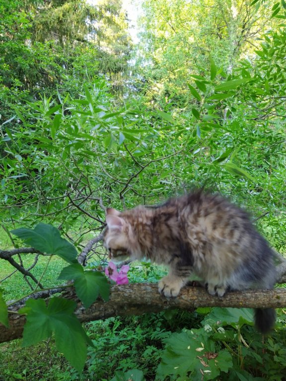ursulina12weeks17202334.jpg