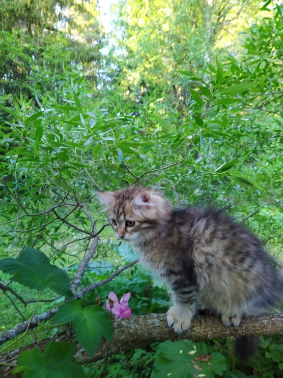 ursulina12weeks17202338.jpg