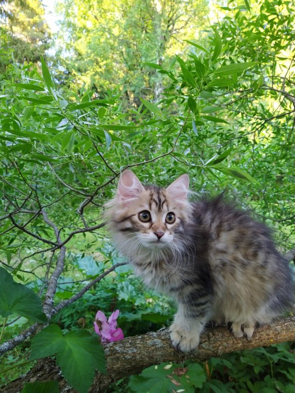 ursulina12weeks17202339.jpg