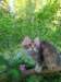 ursulina12weeks17202339_small.jpg