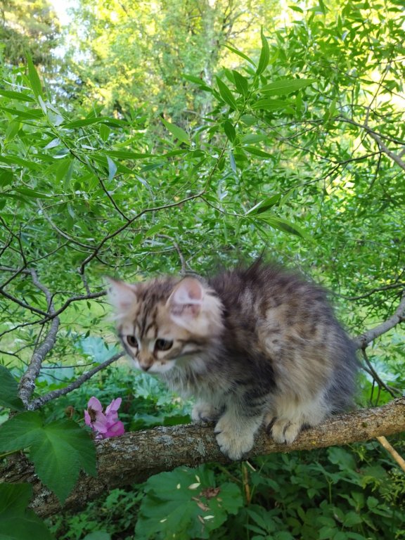 ursulina12weeks17202341.jpg