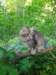 ursulina12weeks17202342_small.jpg