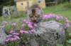 ursulinagirl65weeks215202325_small.jpg
