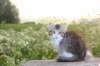 ushara11weeks2262023106_small.jpg