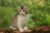 ushara11weeks2262023160_small.jpg