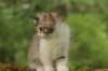 ushara11weeks2262023162_small.jpg