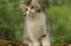 ushara11weeks2262023163_small.jpg