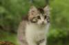 ushara11weeks2262023169_small.jpg