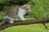 ushara11weeks226202316_small.jpg