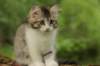 ushara11weeks2262023171_small.jpg
