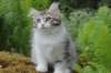 ushara11weeks226202317_small.jpg