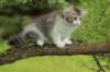ushara11weeks2262023183_small.jpg