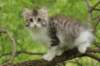 ushara11weeks2262023187_small.jpg