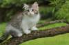 ushara11weeks2262023191_small.jpg