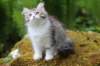 ushara11weeks22620231_small.jpg
