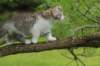 ushara11weeks226202321_small.jpg