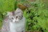ushara11weeks226202322_small.jpg