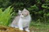 ushara11weeks226202324_small.jpg