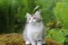 ushara11weeks226202330_small.jpg