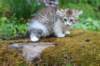 ushara11weeks226202361_small.jpg