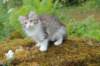 ushara11weeks226202390_small.jpg