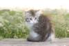 ushara11weeks226202396_small.jpg