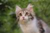 ushara12weeks306202313_small.jpg