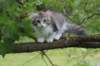 ushara12weeks306202316_small.jpg