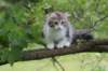 ushara12weeks306202317_small.jpg