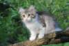 ushara12weeks30620231_small.jpg