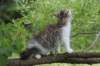 ushara12weeks306202323_small.jpg