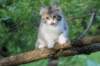 ushara12weeks30620232_small.jpg