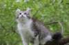 ushara12weeks306202331_small.jpg