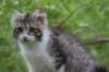 ushara12weeks306202332_small.jpg