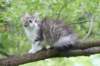ushara12weeks306202335_small.jpg