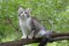 ushara12weeks306202338_small.jpg