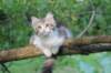 ushara12weeks30620233_small.jpg