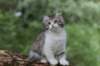 ushara12weeks306202340_small.jpg