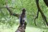 ushara12weeks306202347_small.jpg