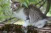 ushara12weeks306202349_small.jpg