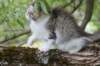 ushara12weeks306202350_small.jpg
